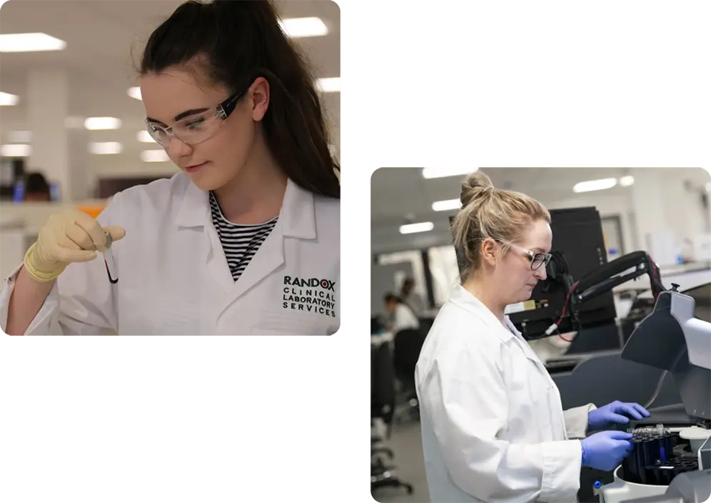 Scientists working in labs