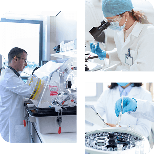 Scientists testing samples and using analysers